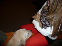 /album/a3-nap/p1200599-jpg/